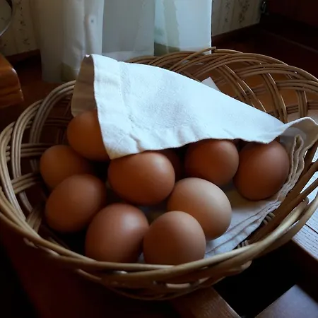 Penzion Elisabeth Špindlerŭv Mlýn