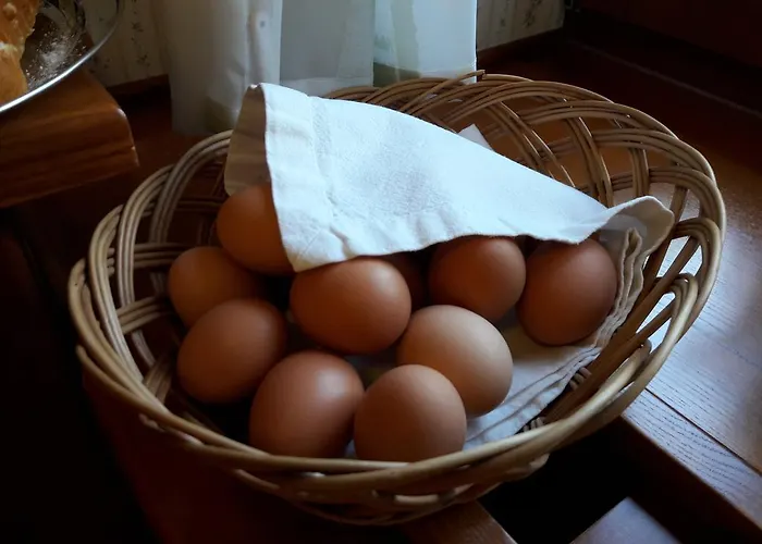 בית הארחה Elisabeth Špindlerŭv Mlýn